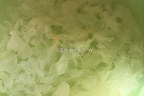 银耳汤的做法图解5