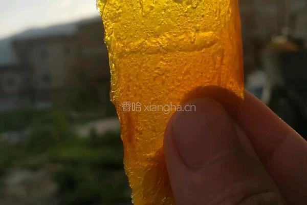 自制芒果干的做法图解6