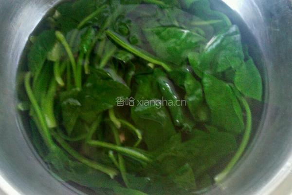 粉丝拌菠菜的做法图解4
