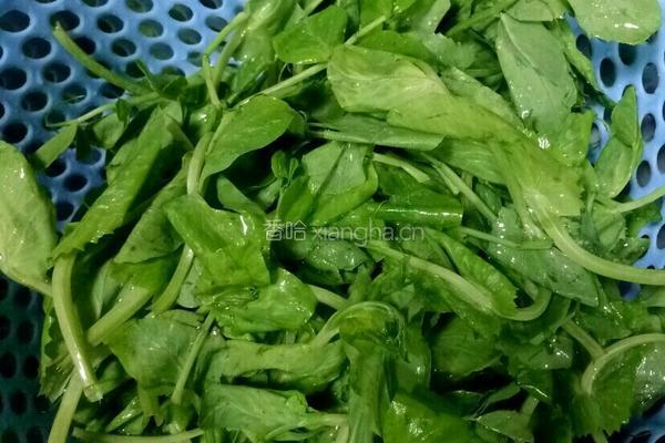 清炒豌豆苗的做法图解1