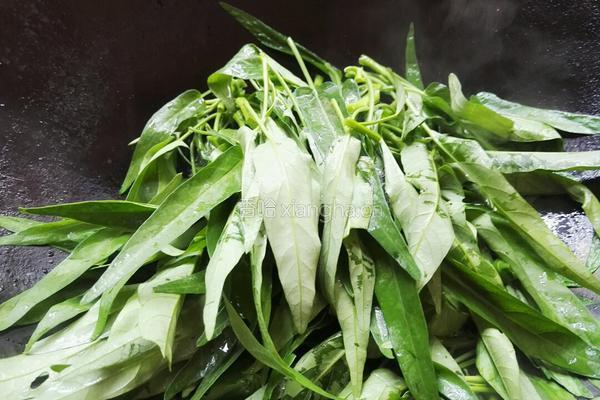 蒜香空心菜的做法图解3