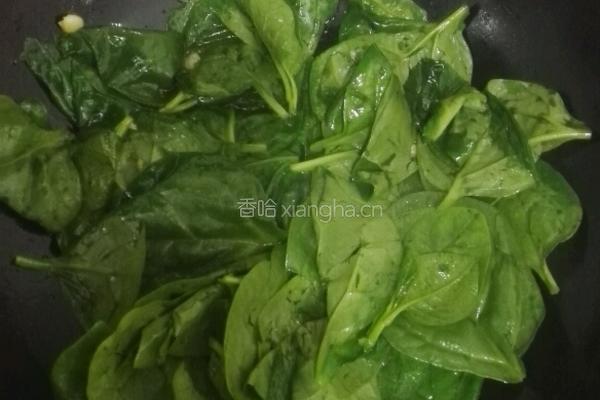 蒜泥木耳菜的做法图解4