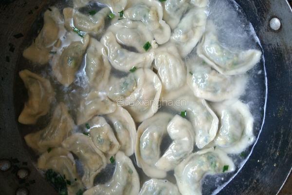 韭菜鸡蛋饺子的做法图解16