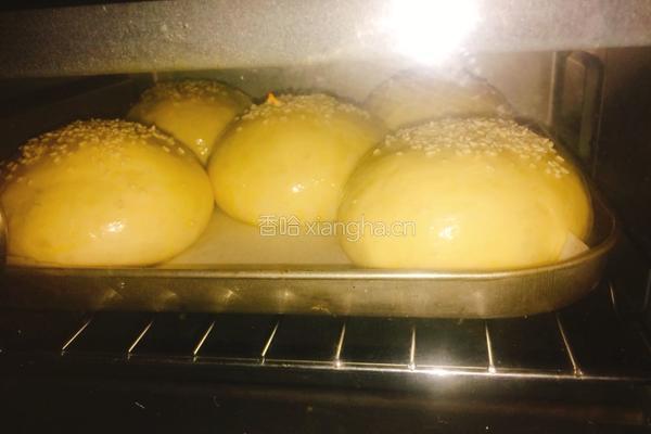 汉堡胚的做法图解12