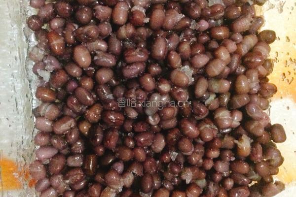 蜜红豆的做法图解8
