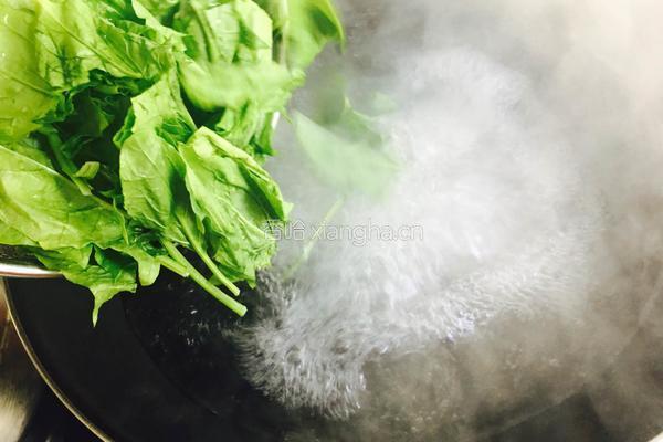 菠菜拌粉丝的做法图解5