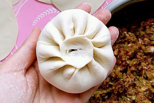 猪肉芸豆大包子的做法图解19