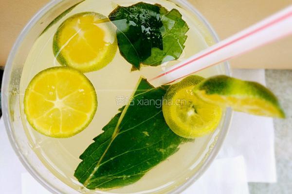 青柠薄荷茶的做法图解6