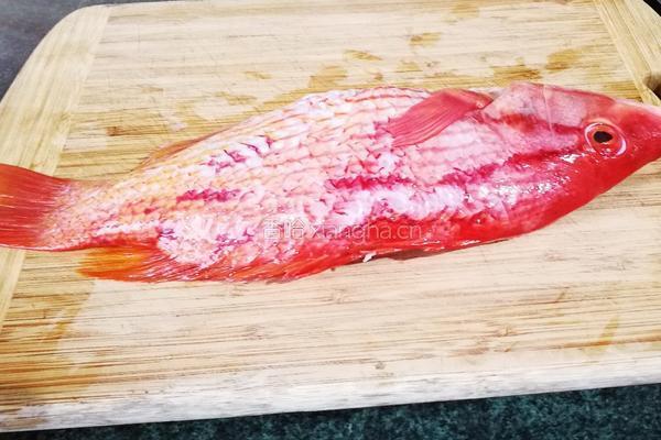 清蒸猪鱼的做法图解1
