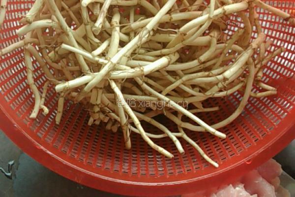 鱼腥草瘦肉鲫鱼汤的做法图解1