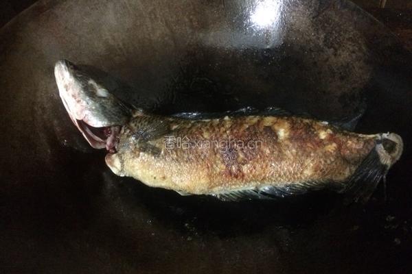 黑豆小麦旱莲草生鱼汤的做法图解6