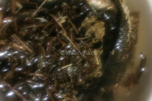 黑豆小麦旱莲草生鱼汤的做法图解7
