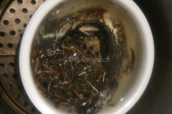 黑豆小麦旱莲草生鱼汤的做法图解8