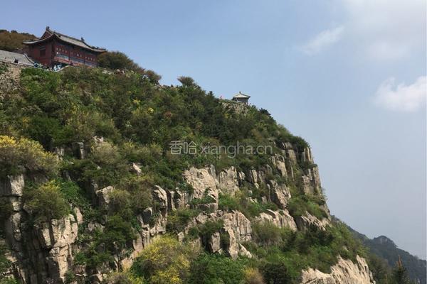 砂锅卤鸡蛋的做法图解8