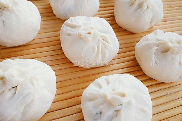 猪肉韭菜包子的做法图解5