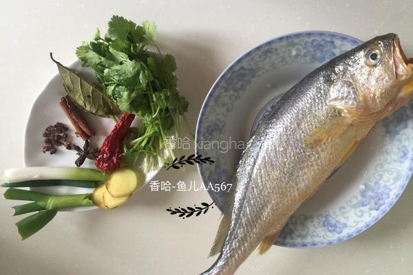 红烧黄花鱼的做法图解1
