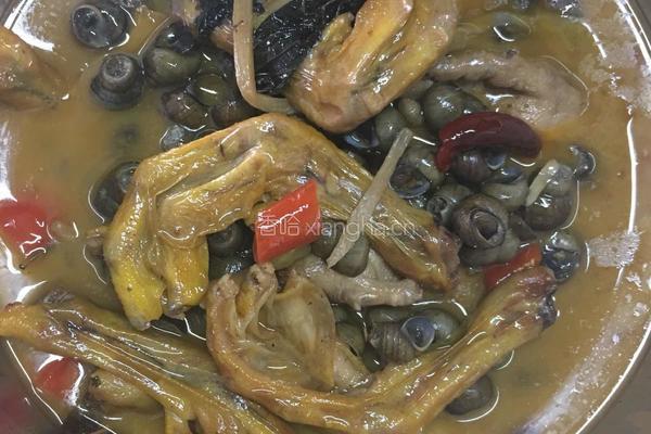 螺蛳鸭脚煲的做法图解14