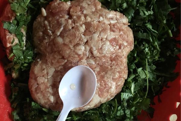 香菜猪肉水饺的做法图解5