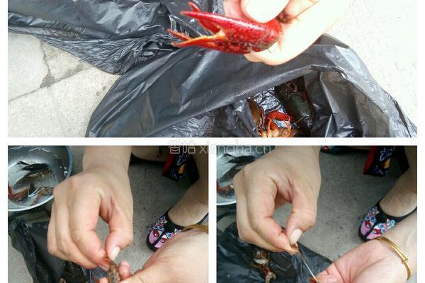 十三香小龙虾的做法图解1