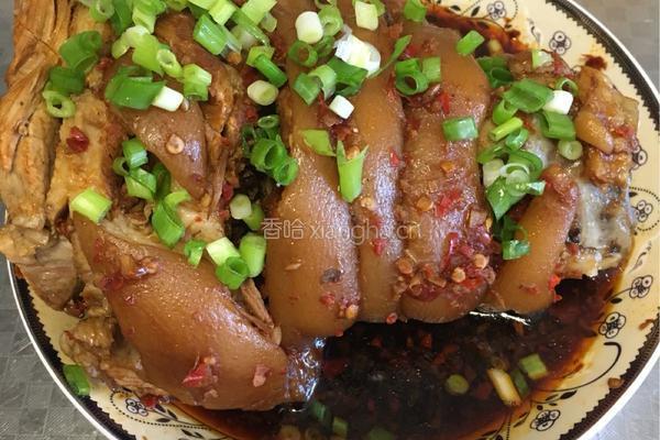 秘制东坡肘子（香辣风味）