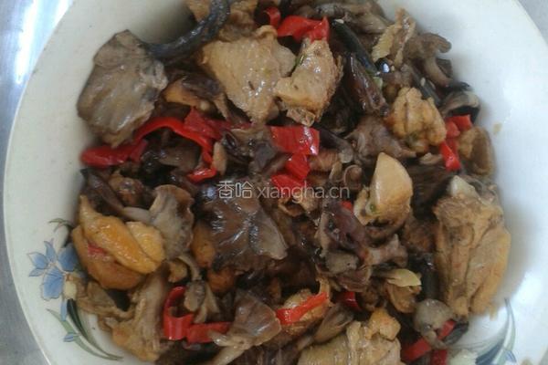 鸡腿炖蘑菇