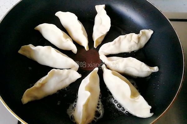 锅贴饺子的做法图解15