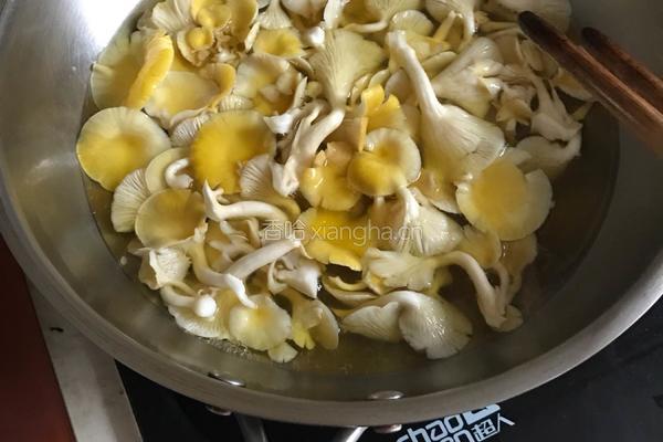 黄蘑芹菜猪肉饺子的做法图解2