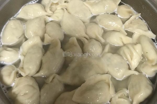 黄蘑芹菜猪肉饺子的做法图解15