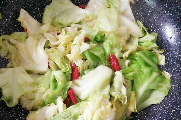 炒莲花白的做法图解5