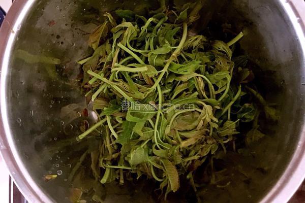 香椿鸡蛋饼的做法图解2