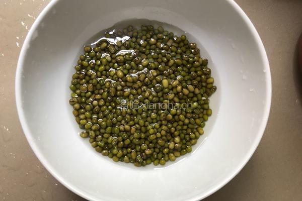 白鸽绿豆汤的做法图解1