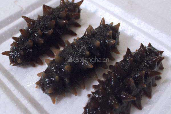 葱烧海参
