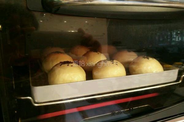 红豆沙小面包的做法图解12