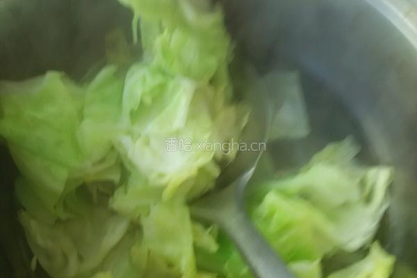 凉拌洋白菜的做法图解8