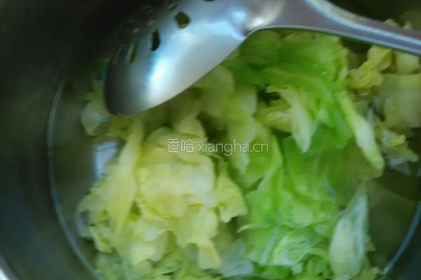 凉拌洋白菜的做法图解9