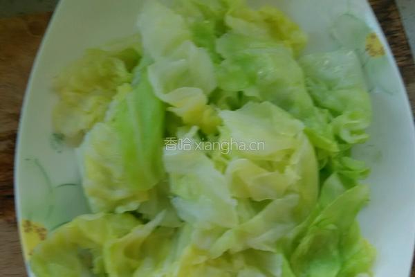 凉拌洋白菜的做法图解10
