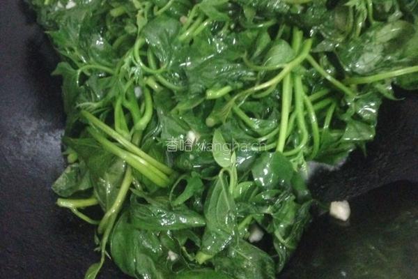 炒红薯芽叶的做法图解5