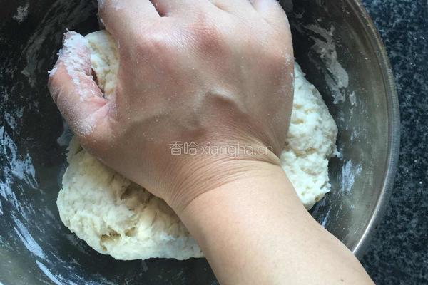 手抓饼胚的做法图解2