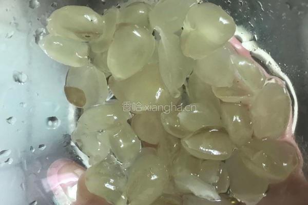 玫瑰花系列皂角米桃胶莲子银耳汤的做法图解4