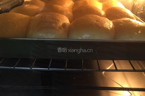 巧克力酱挤挤面包（纯手揉面包）的做法图解8