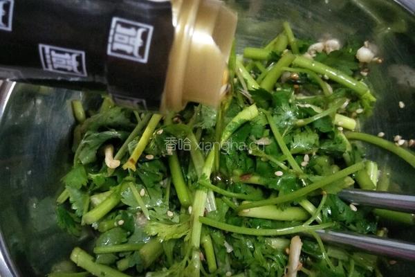 凉拌香菜的做法图解7