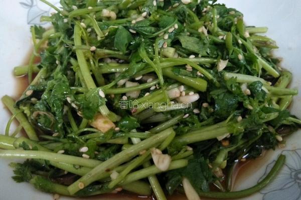 凉拌香菜的做法图解8