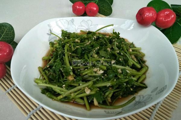 凉拌香菜的做法图解9
