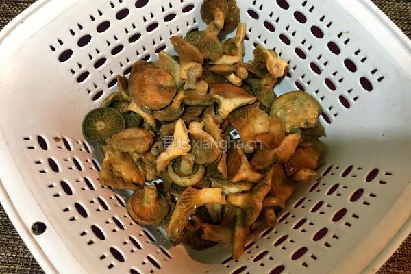 枞菌肉片汤的做法图解1