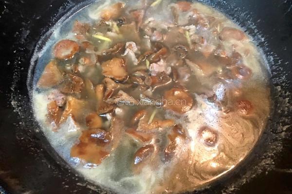 枞菌肉片汤的做法图解6