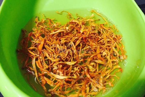 虫草花排骨汤的做法图解2