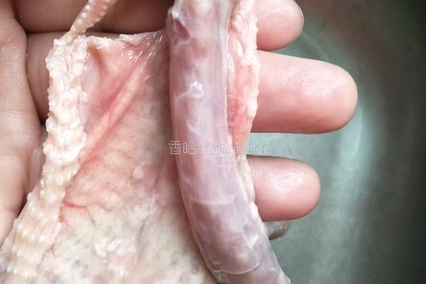 枸杞鸽子汤的做法图解3