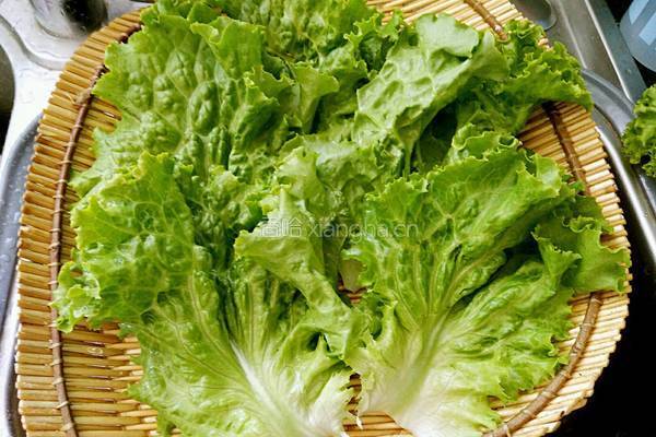 鲜榨生菜汁的做法图解1