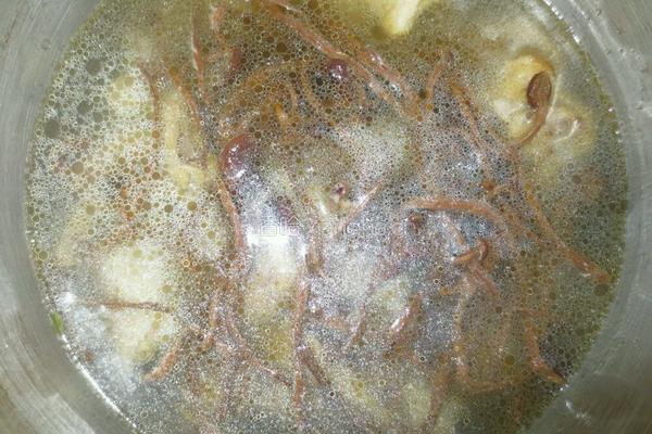 茶树菇煲土鸡的做法图解7