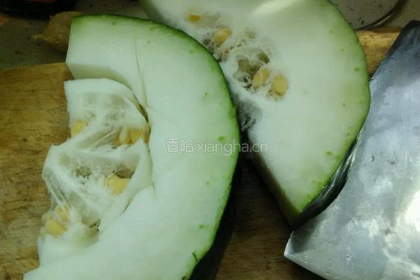 冬瓜炖排骨的做法图解11